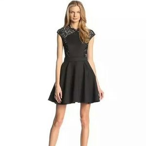 NWT Ted Baker Black Lace Panel Cocktail Dress Sz 0
